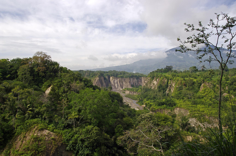 Others 5, Mando Homestay II, Bukittinggi