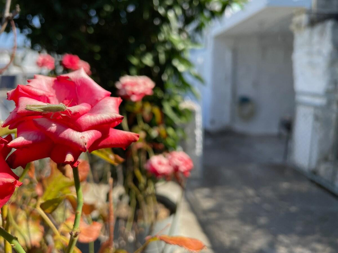 Others 2, Nionas Cheerful House, South Aegean