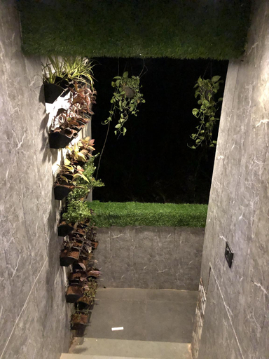 Others 4, Ariv Inn, North Goa