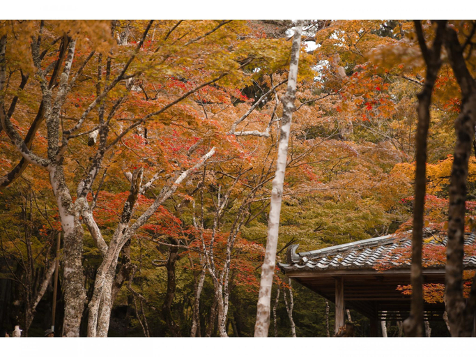 Exterior & Views 1, Arima Royal Hotel, Nishinomiya