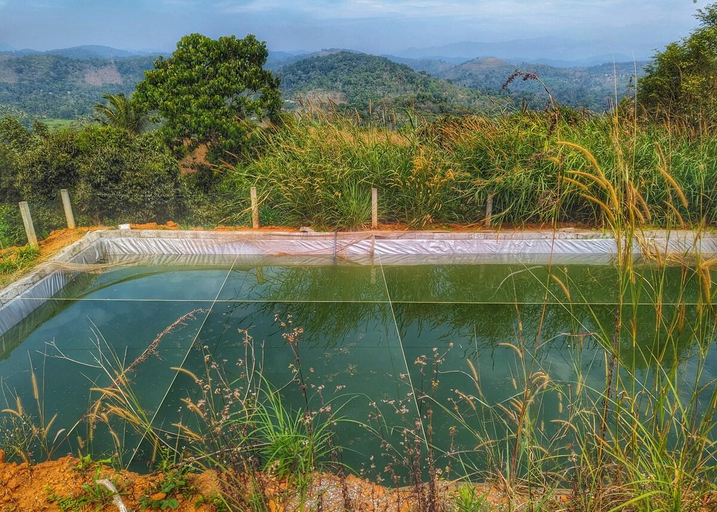 Sport & Beauty 2, Griha Sankalpa, a farmstay, Wayanad
