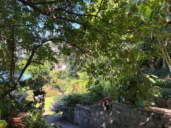 Others 4, Kandy Tree Tops, K.F.G. & G. Korale
