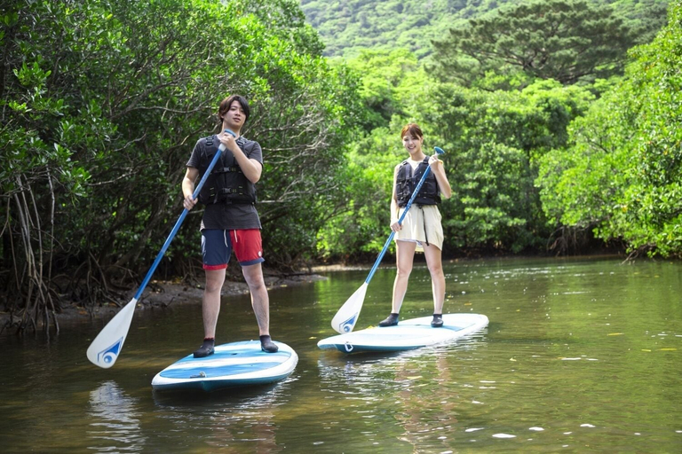 Others 5, RESORT INN IRIOMOTEJIMA, Taketomi
