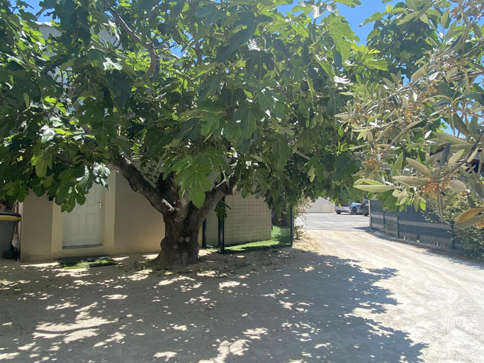 3, Gite sous le figuier, Vaucluse