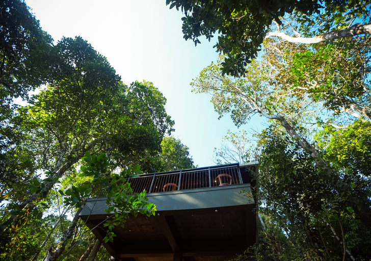 Exterior & Views 2, Chembarathi Wayanad Boutique Resort, Wayanad