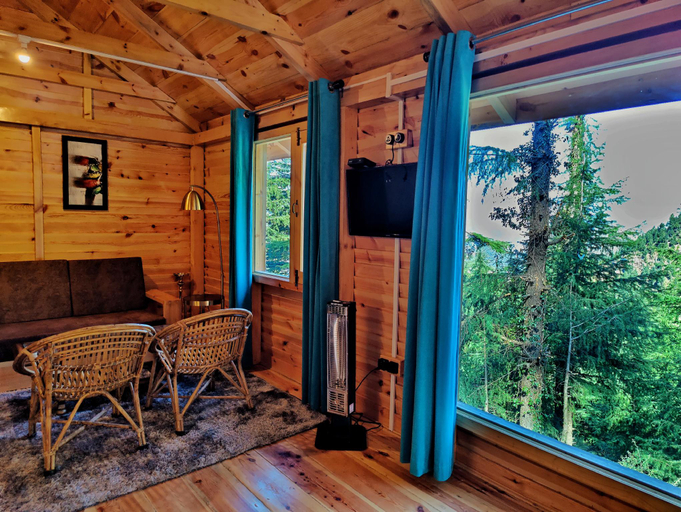 2, Mid Conifer, Chamba