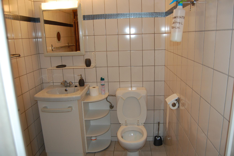 Bathroom, Fleurs des champs 1, Namur