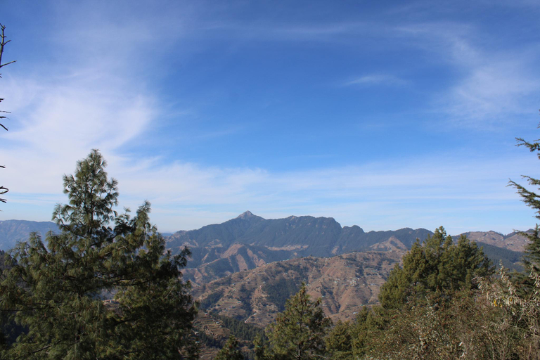Others 3, AJ Hotel, Shimla
