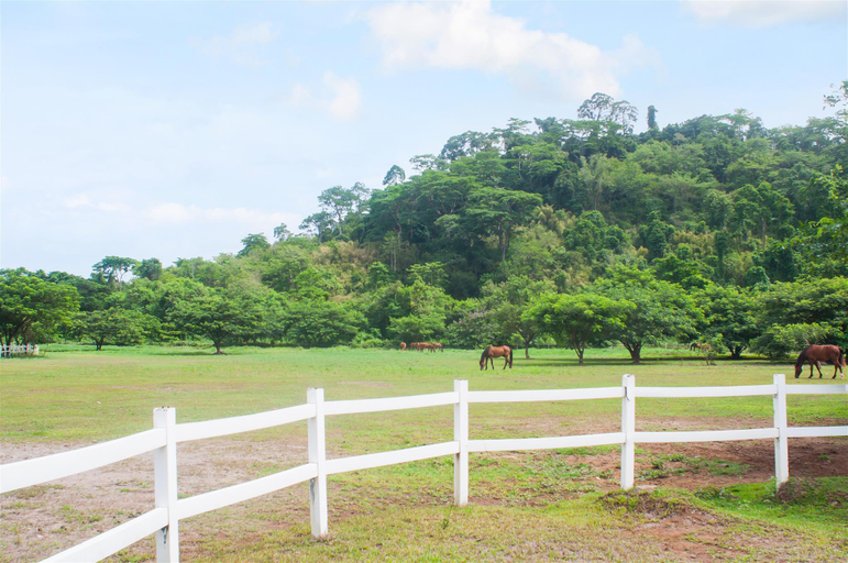 Nearby Landmark 5, M23 Clark Condo near Hann casino near airport, Mabalacat