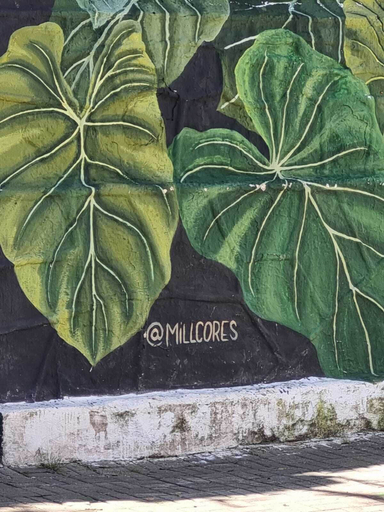 Others 4, Oh Madalena Hostel, São Paulo