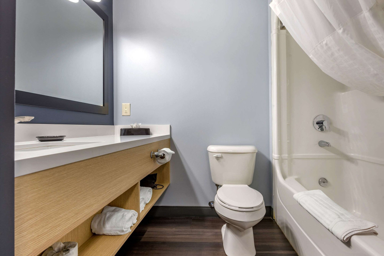 Bathroom 4, Quality Inn and Suites Oakville-Mississauga, Halton