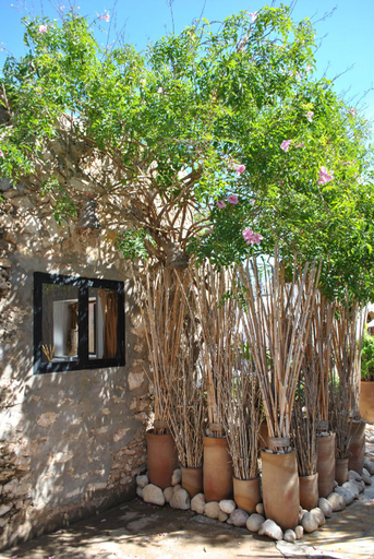 Others 5, MAISON SIDI ET LALLA, Essaouira
