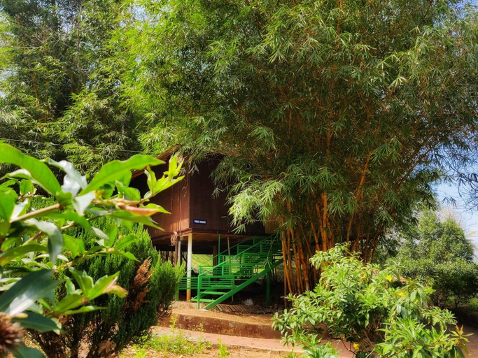 Others 5, Misty Night Jungleside Wayanad Pool Resort, Wayanad