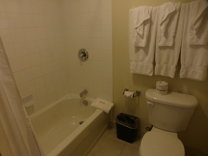 Bathroom 1