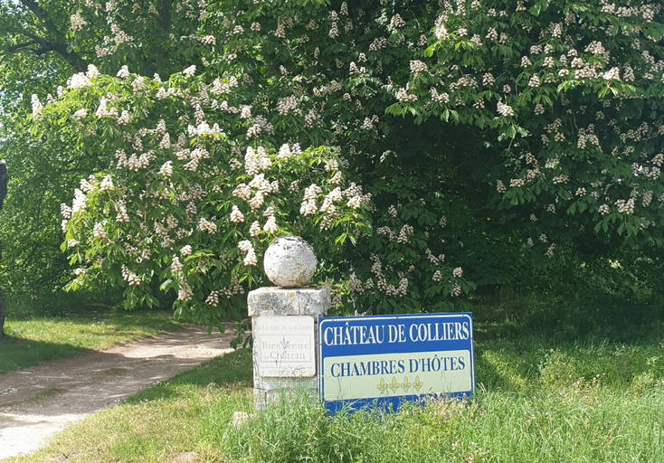 Others 4, Château de Colliers, Loir-et-Cher