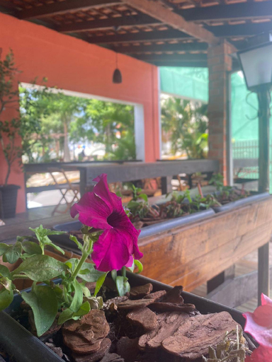 Food & Drinks, QUEIROZ PALACE HOTEL, Siqueira Campos