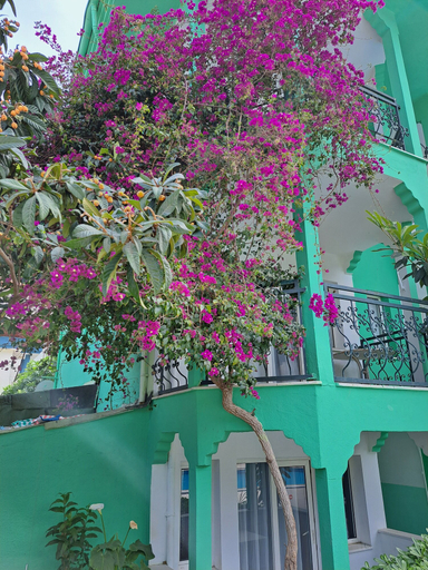 Others 3, Miramonte Apart Hotel, Marmaris