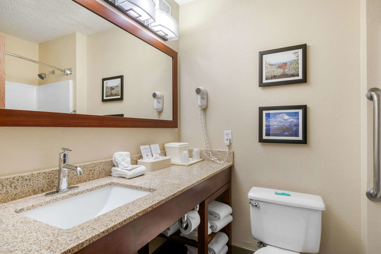 Bathroom 5, Comfort Inn North Medford, Jackson