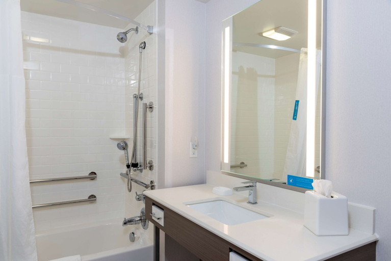 Bathroom 4, Hampton Inn Holland, Ottawa