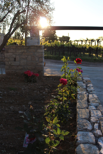 Others 5, Acrocorinth Apartments, Peloponnese
