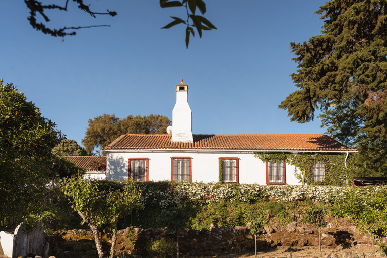Exterior & Views 2, Imani Country House, Évora