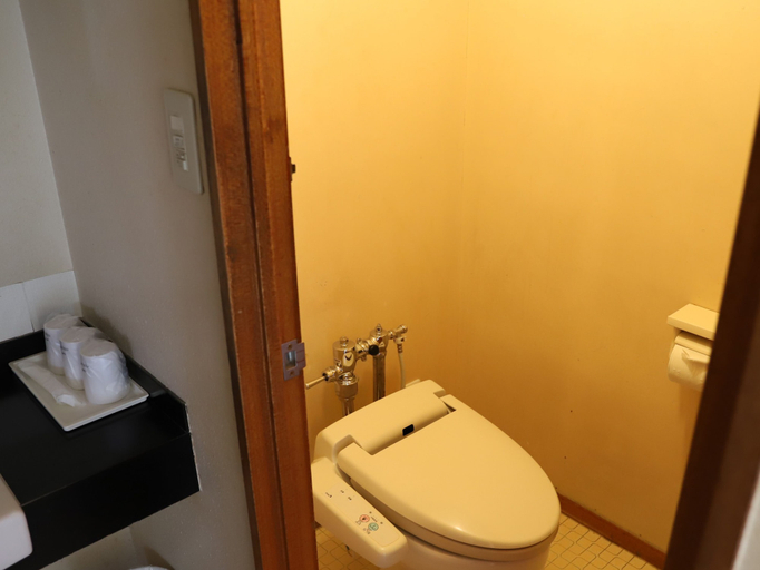 Bathroom 5, Gero Onsen Yamagataya, Gero