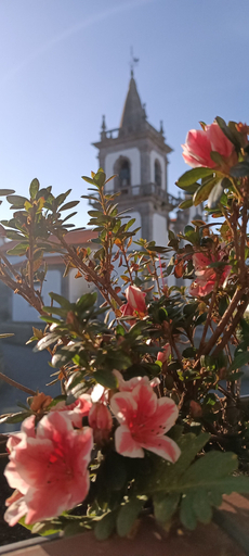 Others 5, Donna Nega Guest House, Caminha