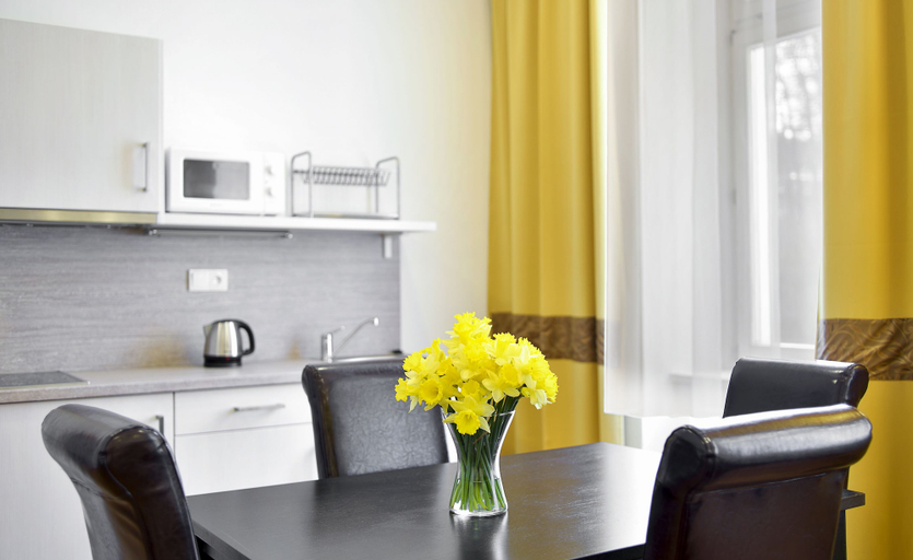 Others 4, Apartments Central Park Marienbad, Cheb