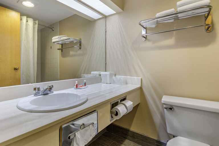Bathroom 3, Econo Lodge & Suites Southern Pines - Pinehurst, Moore