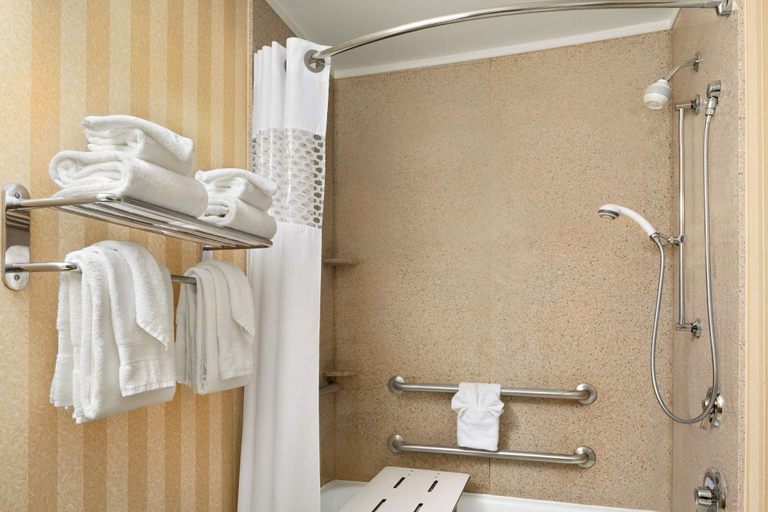 Bathroom 4, Hampton Inn & Suites Detroit/Sterling Heights, Macomb