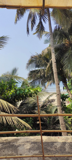 Others 4, Est Hem Guesthouse Arambol, North Goa