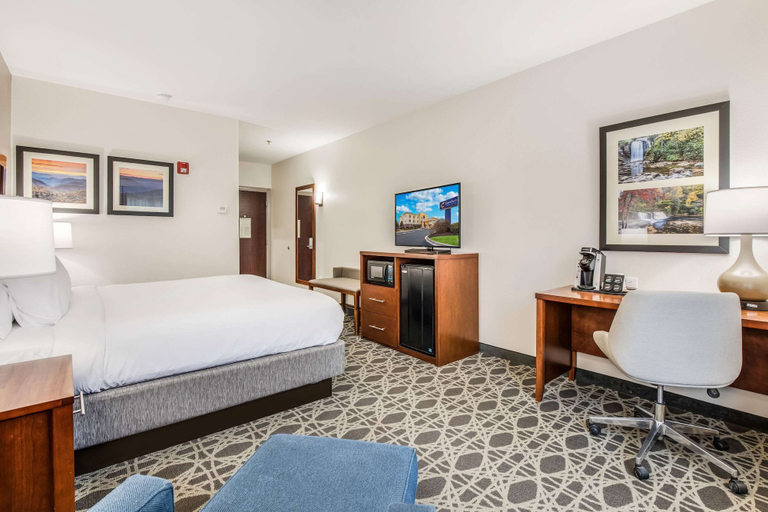 Bedroom 3, Comfort Inn & Suites Brevard North, Transylvania