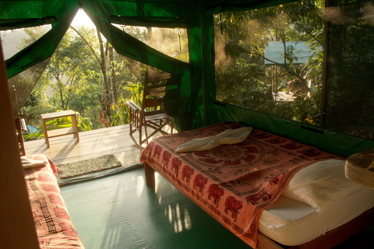 Bedroom 3, Luna Lodge, Golfito