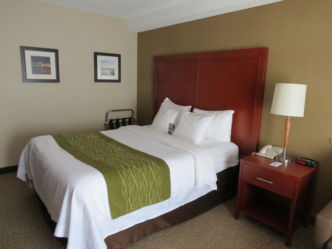 Bedroom 4, Comfort Inn Dartmouth, Halifax