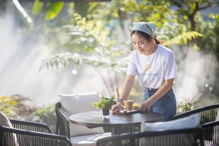 Food & Drinks 5, Welladee Wellness Chiang Mai, Muang Chiang Mai