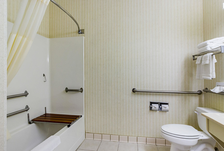 Bathroom 4, Econo Lodge Luverne I-90, Rock