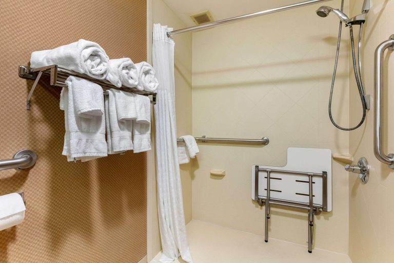 Bathroom 4, Comfort Inn Chattanooga Downtown Southside, Hamilton