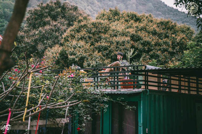 Exterior & Views 2, Mango Tree Homestay Cat Ba, Cát Hải