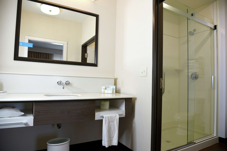 Bathroom 4, Hampton Inn Kalamazoo, Kalamazoo