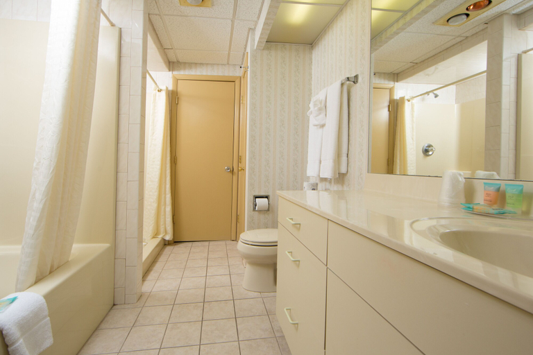 Bathroom 5, Villa Roma Resort and Conference Center, Sullivan