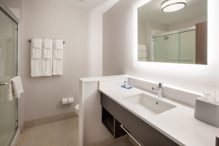 Bathroom 3, Holiday Inn Express & Suites WOOSTER by IHG, Wayne