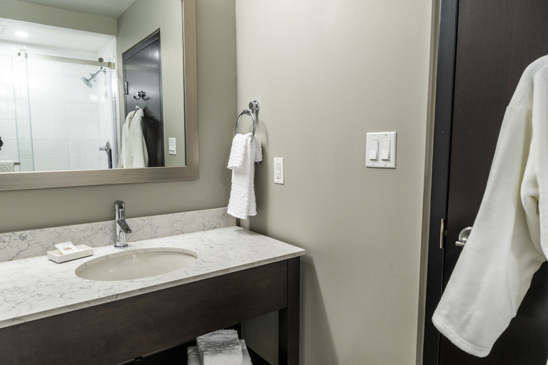 Bathroom 4, Best Western Premier Northwood Hotel, Cochrane