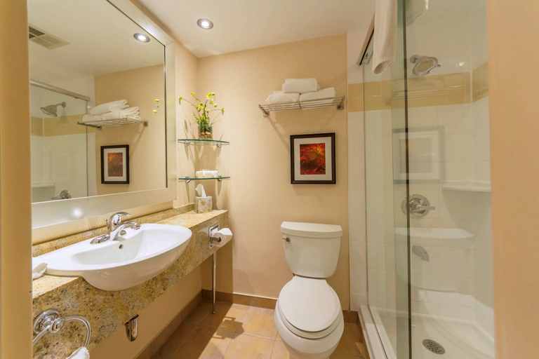 Bathroom 4, The Water Tower Inn, BW Premier Collection, Algoma