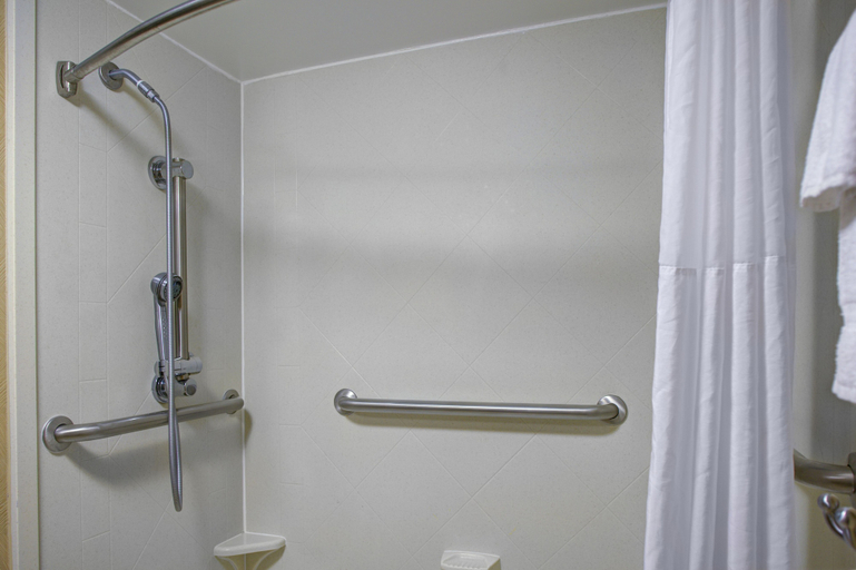 Bathroom 4, Hampton Inn Starkville Mississippi State University, Oktibbeha