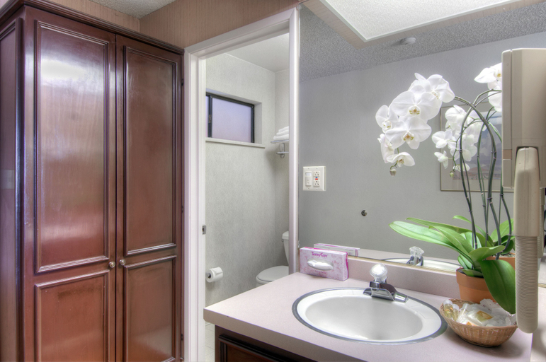 Bathroom 4, Days Inn & Suites by Wyndham Mountain View, Santa Clara