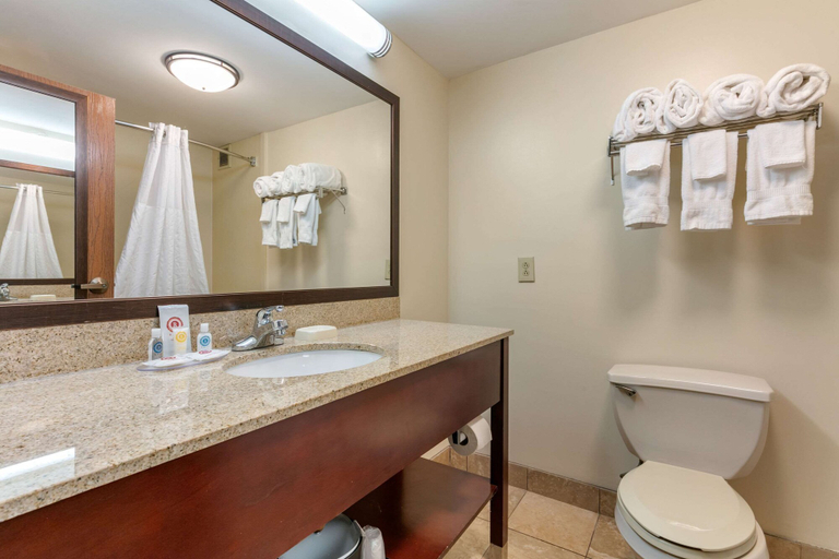 Bathroom 4, Comfort Inn Chattanooga Downtown Southside, Hamilton