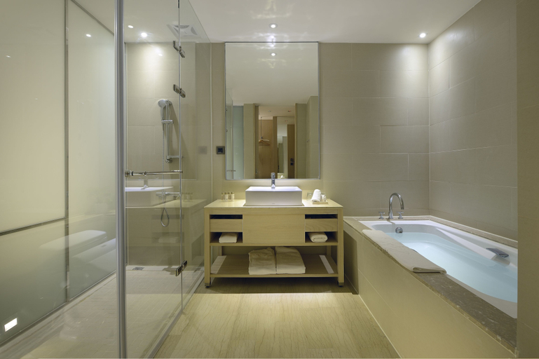Bathroom 5, Chihpen Century Hotel, Taitung