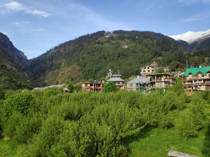 Others 5, Nature Vista Manali, Kullu