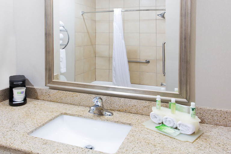 Bathroom 5, Holiday Inn Express & Suites ALVARADO by IHG, Johnson