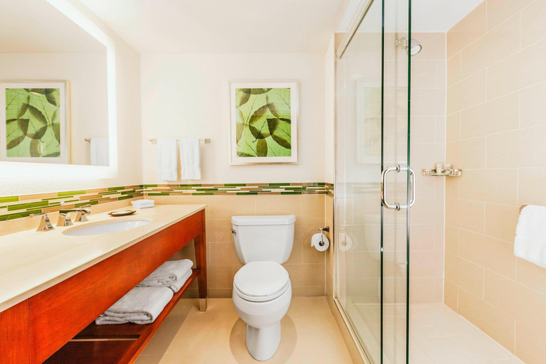 Bathroom 5, The Westin Ottawa, Ottawa